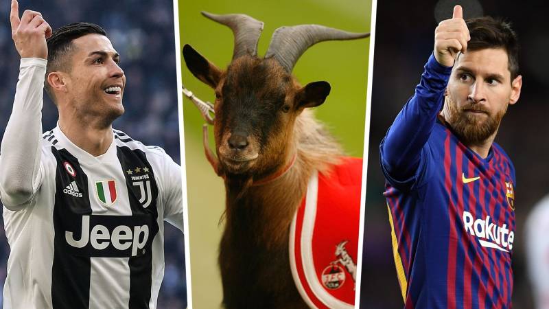 Goat Trong Bóng Đá Là Gì? Khái Niệm Và Ý Nghĩa Vĩ Đại 1 Goat Trong Bóng Đá Là Gì? Khái Niệm Và Ý Nghĩa Vĩ Đại